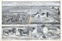 Armstrong Place, Deer Park, La Salle County, La Salle County 1876